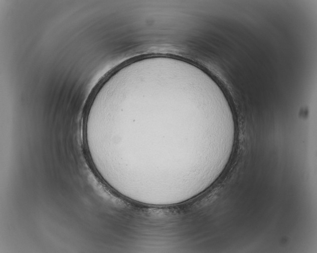 X0000111141032200907211133