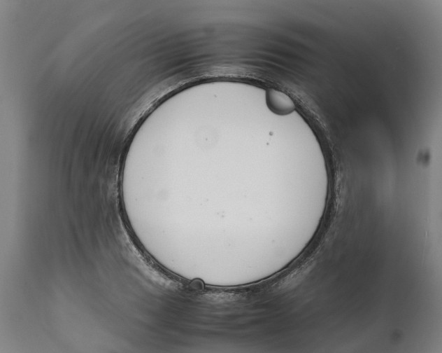 X0000111141033200907211133