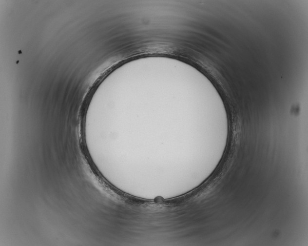 X0000111141034200907211133