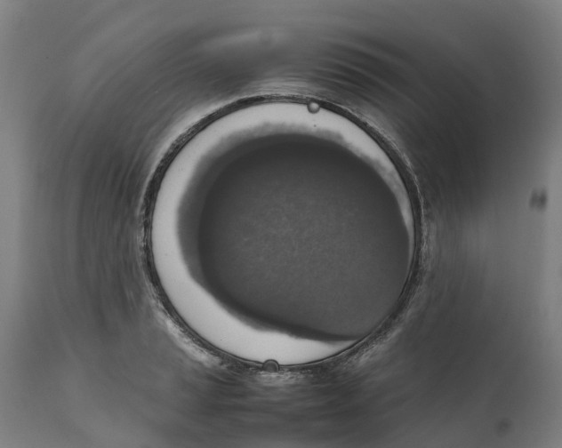 X0000111141037200907211134