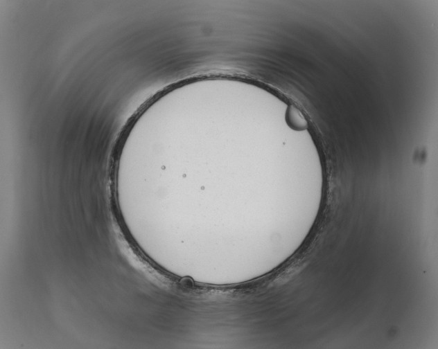 X0000111141038200907211134