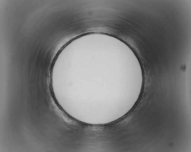 X0000111141040200907211134