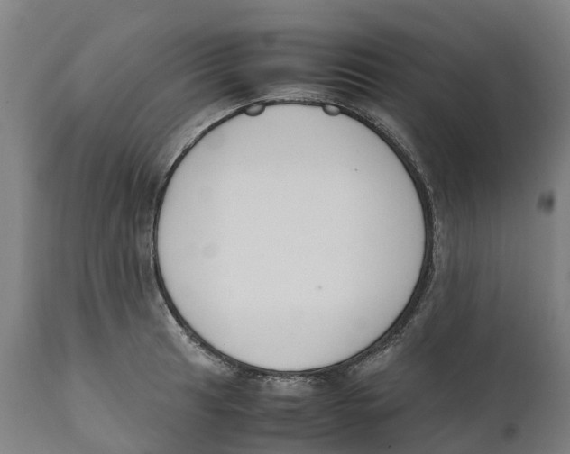 X0000111141041200907211134