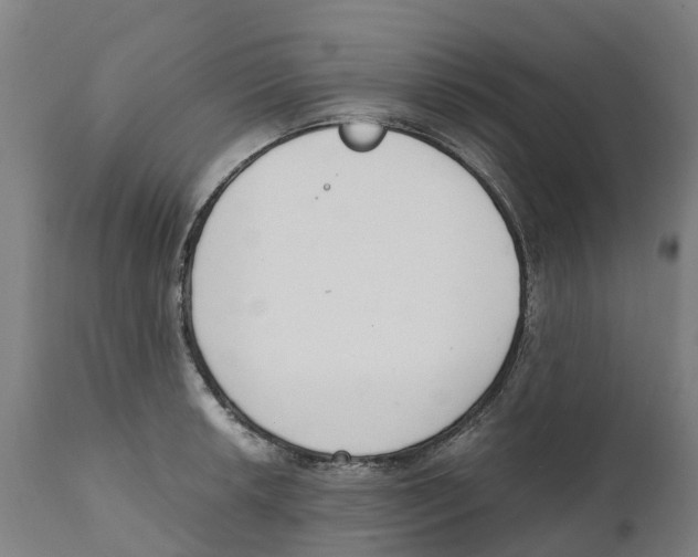 X0000111141042200907211134