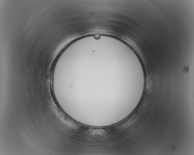 X0000111141043200907211134