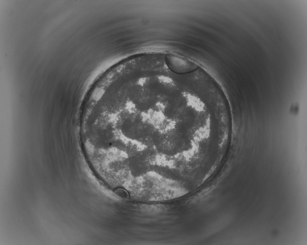 X0000111141045200907211134