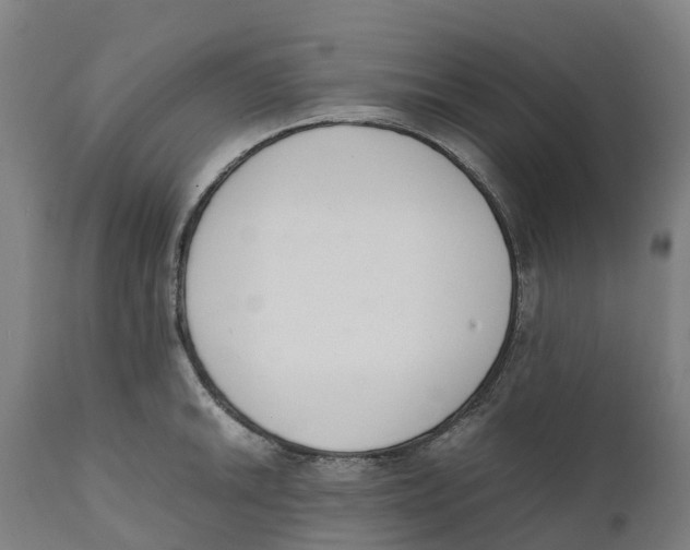 X0000111141046200907211134