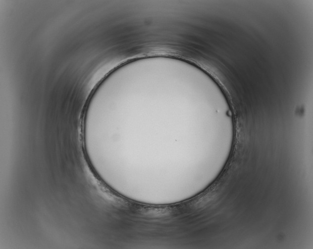 X0000111141047200907211134