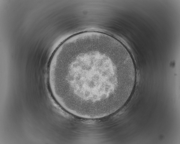 X0000111141048200907211134