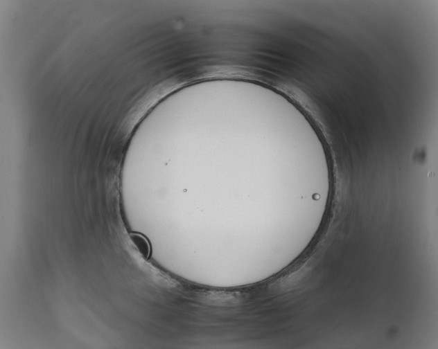 X0000111141049200907211134