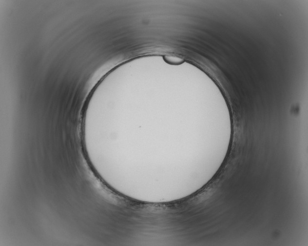 X0000111141050200907211134