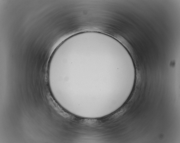 X0000111141052200907211134