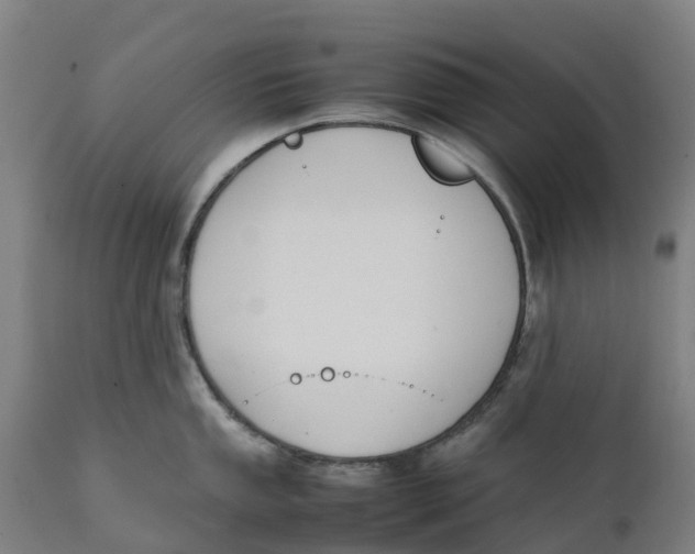 X0000111141053200907211134