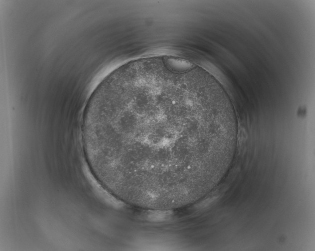 X0000111141055200907211134