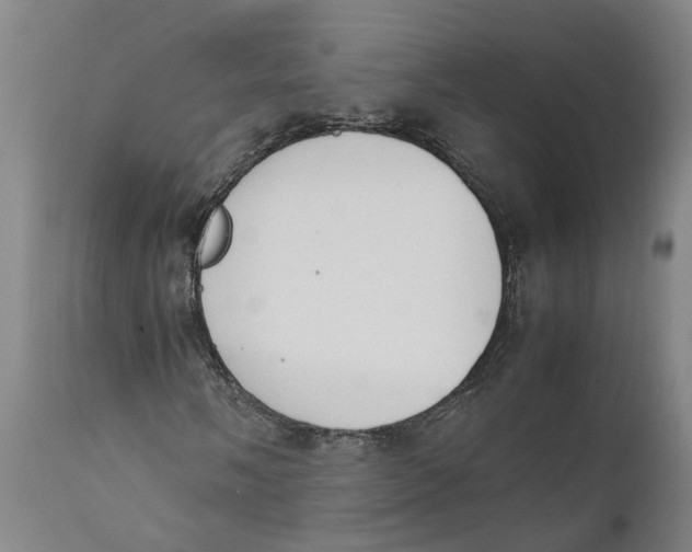 X0000111141058200907211133