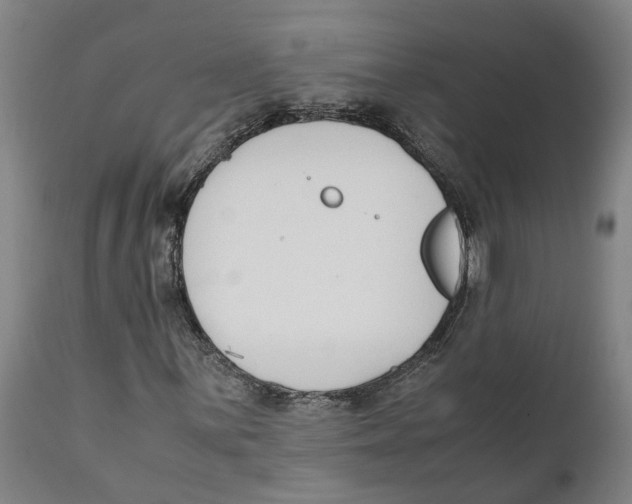 X0000111141059200907211133