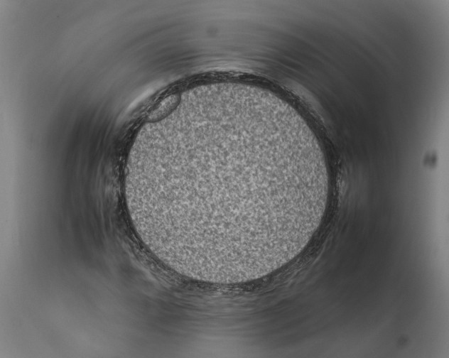 X0000111141064200907211133