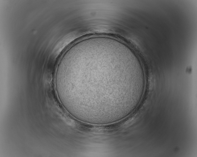 X0000111141065200907211133