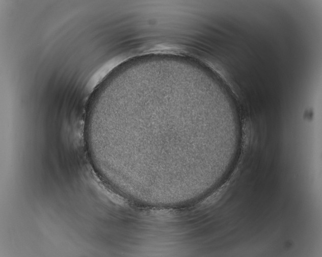 X0000111141066200907211133