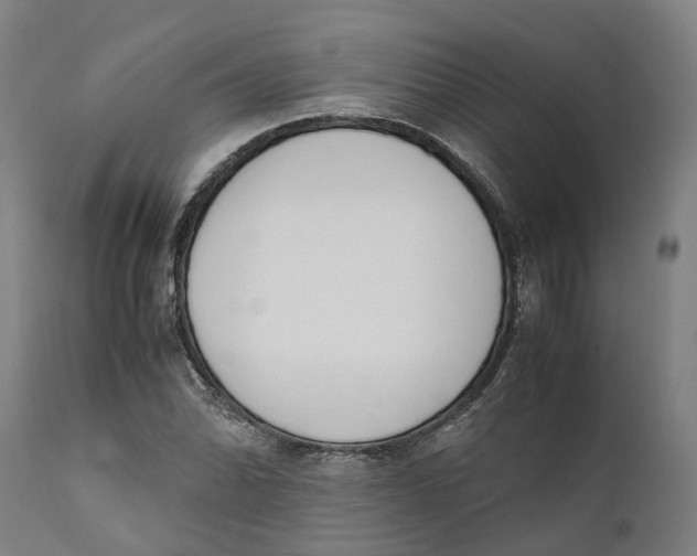 X0000111141070200907211133