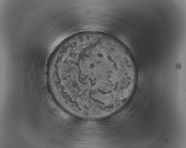 X0000111141071200907211133