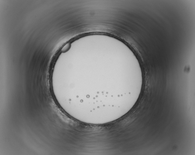 X0000111141072200907211133