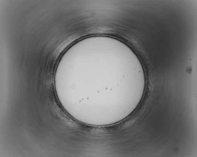 X0000111141073200907211133