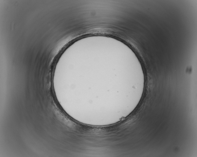 X0000111141075200907211133