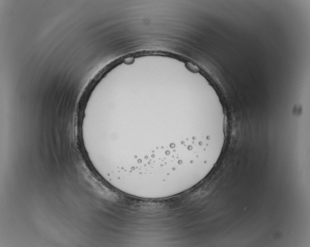 X0000111141076200907211133