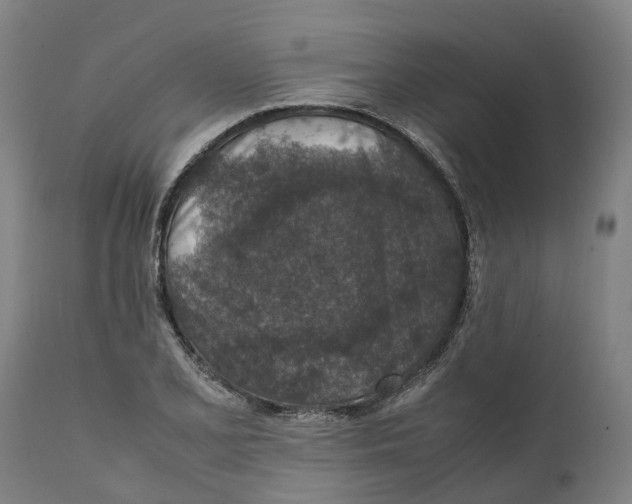 X0000111141077200907211133