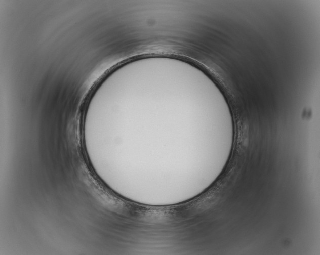 X0000111141078200907211133