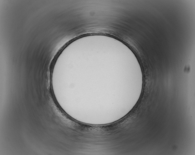 X0000111141079200907211133