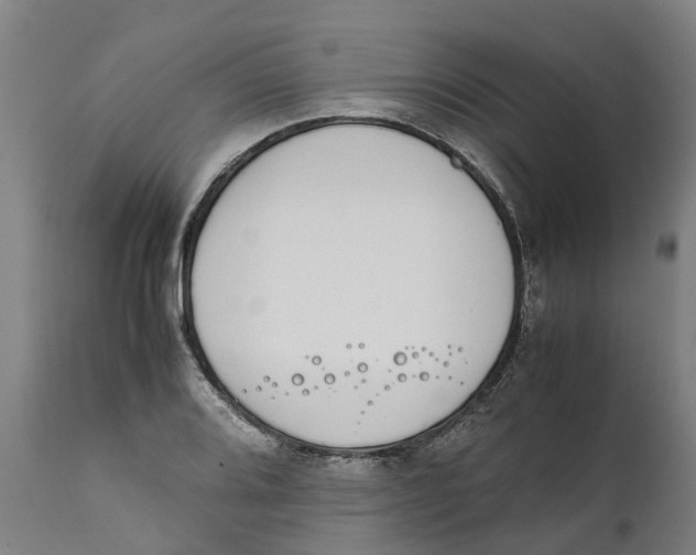 X0000111141080200907211133