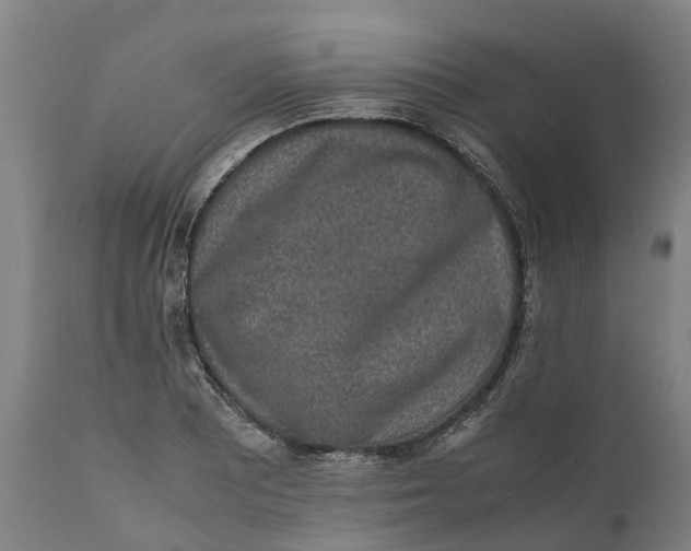 X0000111141081200907211132