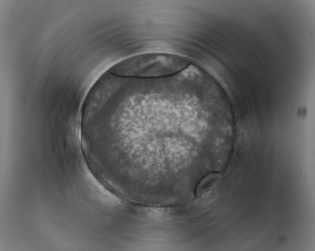 X0000111141084200907211132