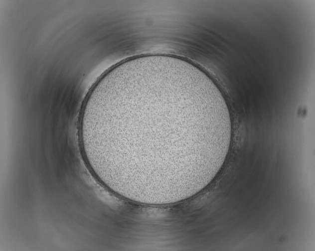 X0000111141086200907211132