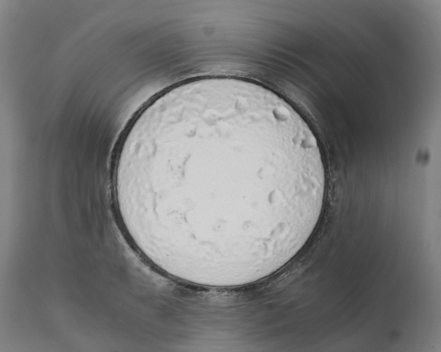 X0000111141087200907211132