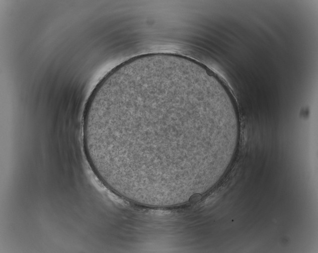 X0000111141088200907211132