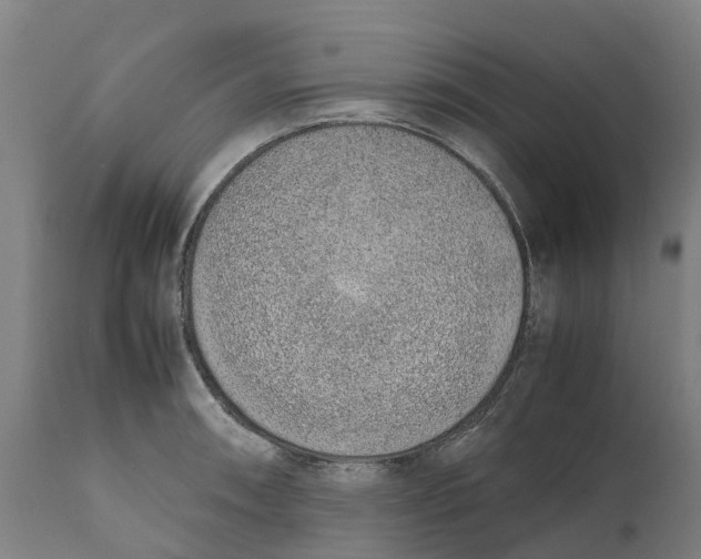 X0000111141090200907211132