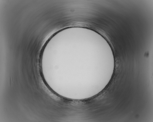 X0000111141091200907211132