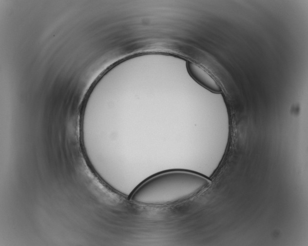 X0000111141092200907211132