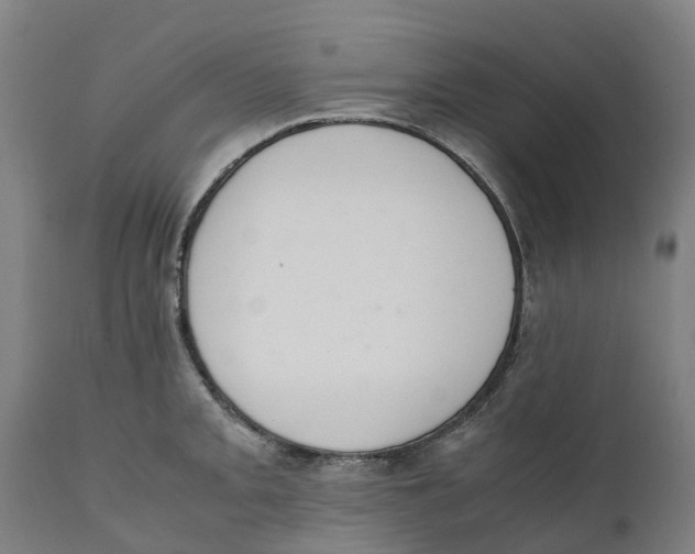 X0000111141093200907211132