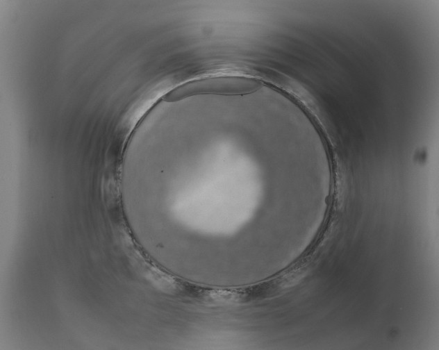 X0000111141097200907211132