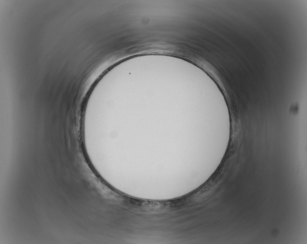 X0000111141099200907211132