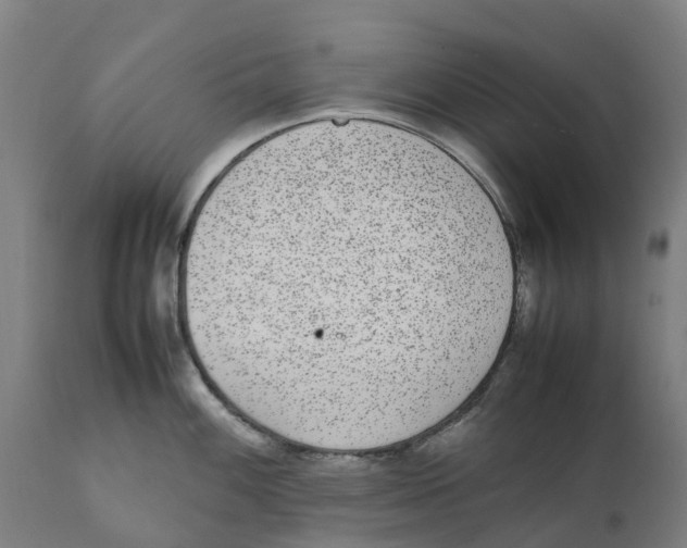 X0000111141100200907211132