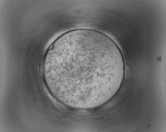 X0000111141101200907211132