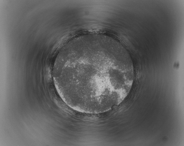 X0000111141106200907211132