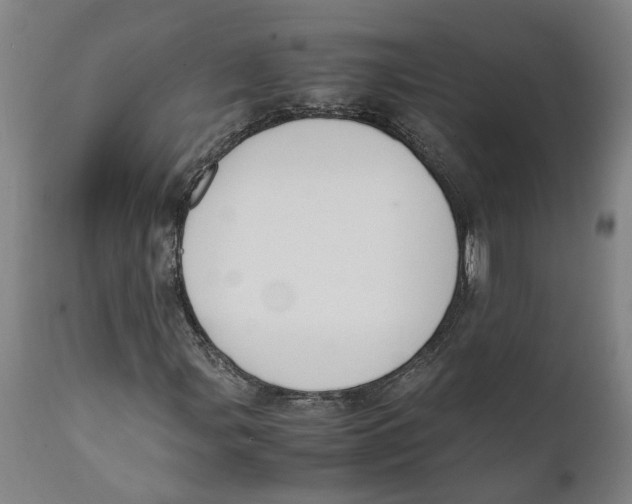 X0000111141107200907211132