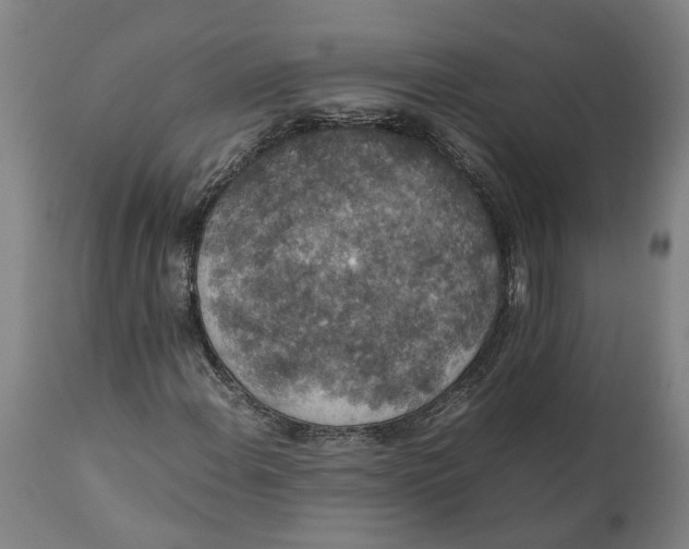 X0000111141108200907211132