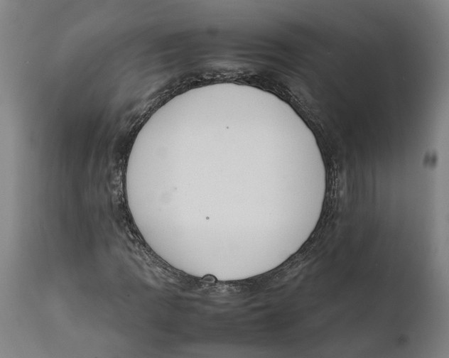 X0000111141109200907211132